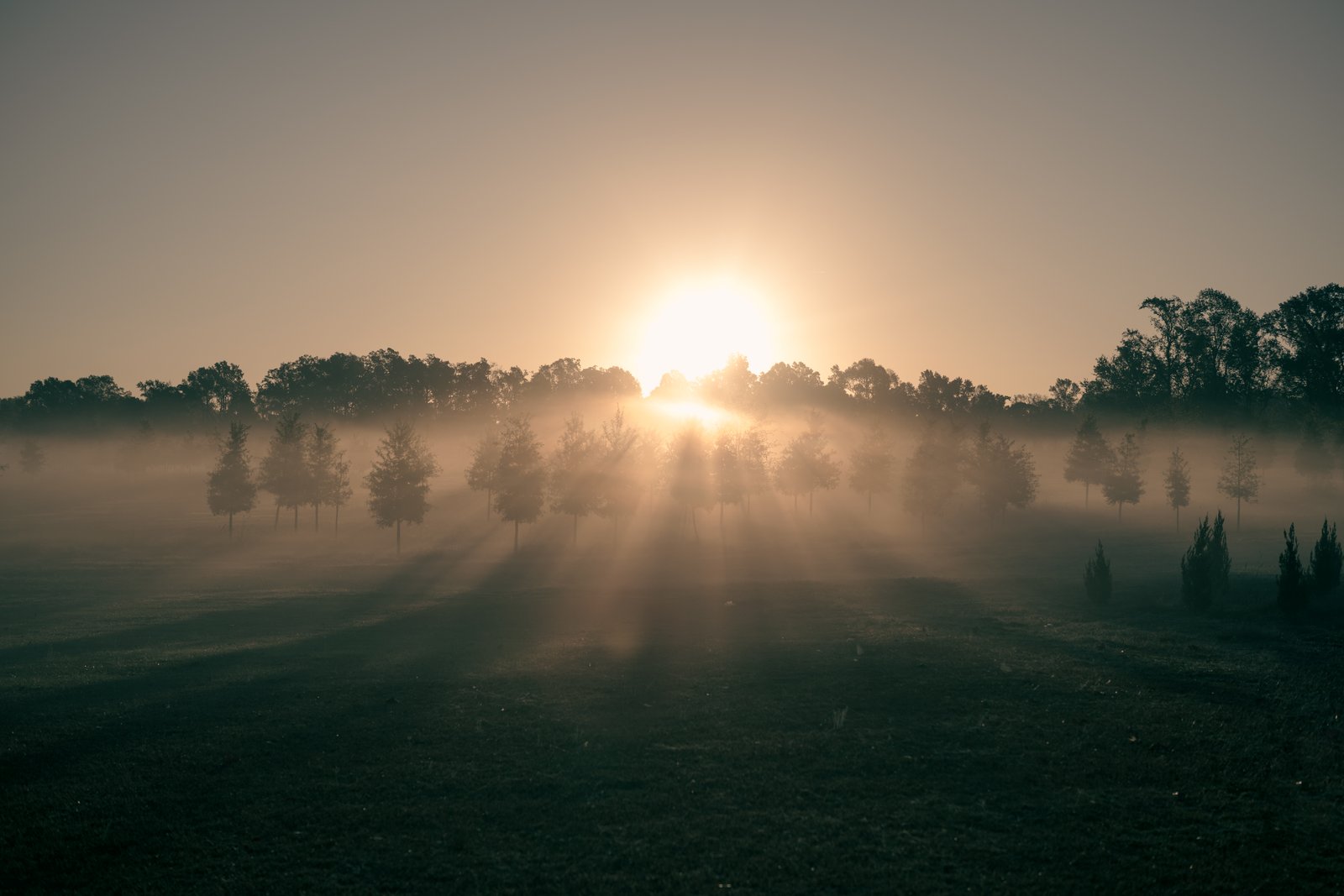 Misty sunrise aerial landscape